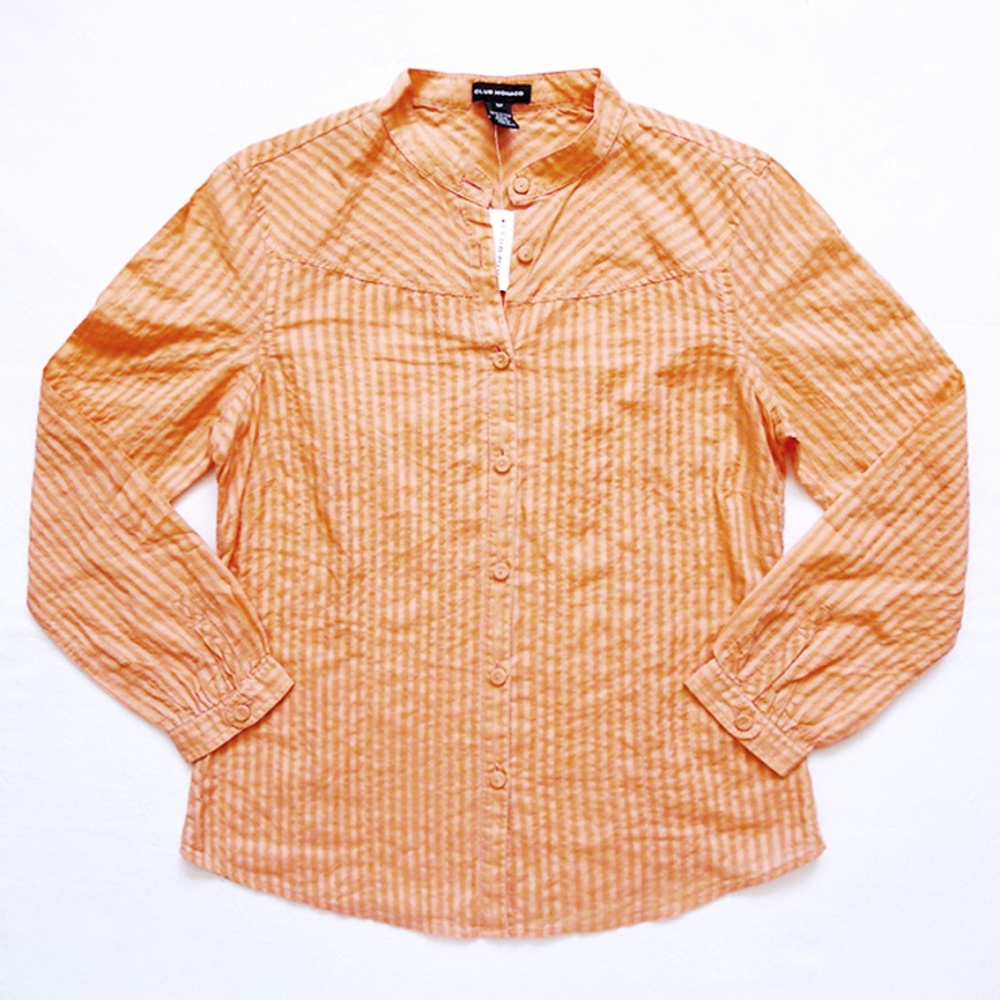 Striped Semi-Sheer Button Down/Up Shirt/Top/Blouse